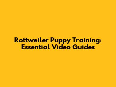  Rottweiler Puppy Training: Essential Video Guides