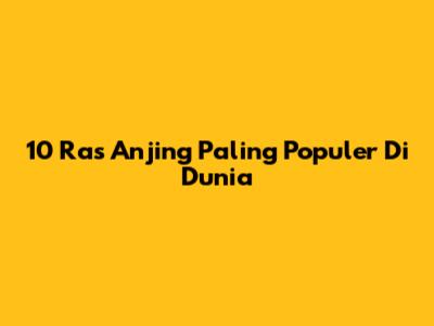 10 Ras Anjing Paling Populer Di Dunia