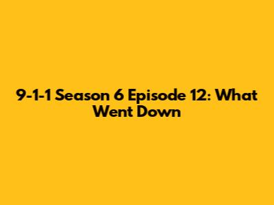 9-1-1 Season 6 Episode 12: What Went Down