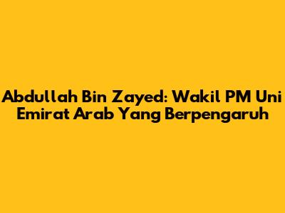 Abdullah Bin Zayed: Wakil PM Uni Emirat Arab Yang Berpengaruh