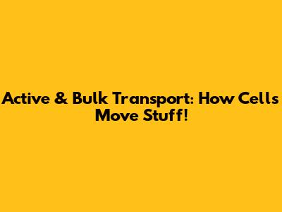 Active & Bulk Transport: How Cells Move Stuff!