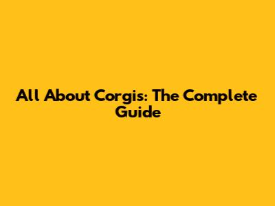 All About Corgis: The Complete Guide