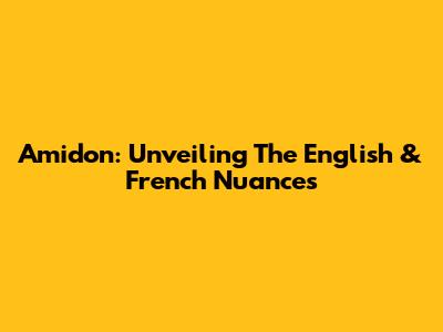Amidon: Unveiling The English & French Nuances