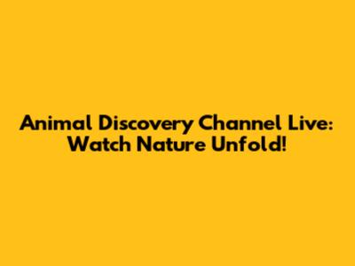 Animal Discovery Channel Live: Watch Nature Unfold!