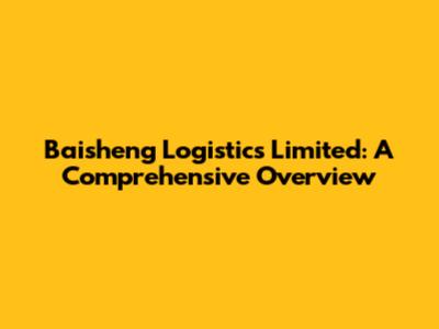 Baisheng Logistics Limited: A Comprehensive Overview