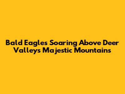 Bald Eagles Soaring Above Deer Valley's Majestic Mountains