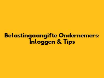 Belastingaangifte Ondernemers: Inloggen & Tips