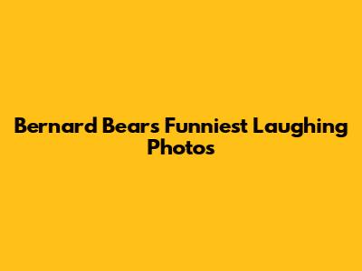 Bernard Bear's Funniest Laughing Photos