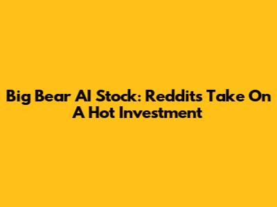 Big Bear AI Stock: Reddit's Take On A Hot Investment