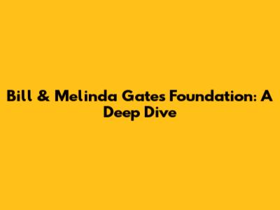 Bill & Melinda Gates Foundation: A Deep Dive