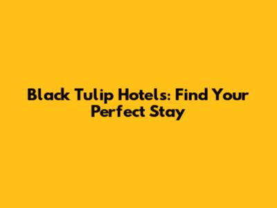Black Tulip Hotels: Find Your Perfect Stay