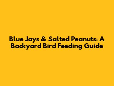 Blue Jays & Salted Peanuts: A Backyard Bird Feeding Guide
