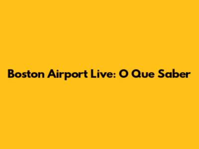 Boston Airport Live: O Que Saber