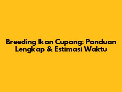 Breeding Ikan Cupang: Panduan Lengkap & Estimasi Waktu