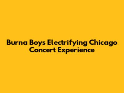Burna Boy's Electrifying Chicago Concert Experience