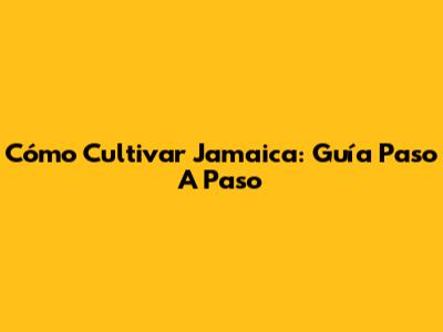 Cómo Cultivar Jamaica: Guía Paso A Paso