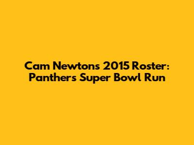 Cam Newton's 2015 Roster: Panthers' Super Bowl Run