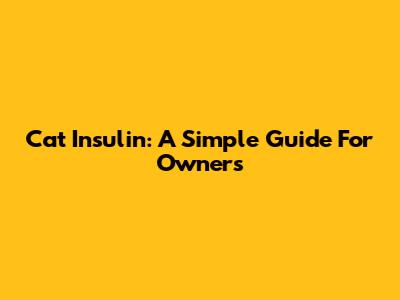 Cat Insulin: A Simple Guide For Owners