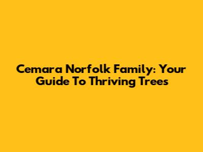 Cemara Norfolk Family: Your Guide To Thriving Trees