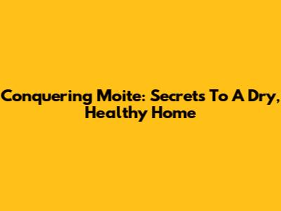 Conquering Moite: Secrets To A Dry, Healthy Home