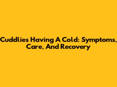Cuddlies Having A Cold: Symptoms, Care, And Recovery