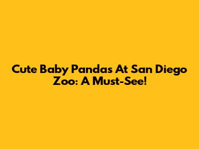 Cute Baby Pandas At San Diego Zoo: A Must-See!