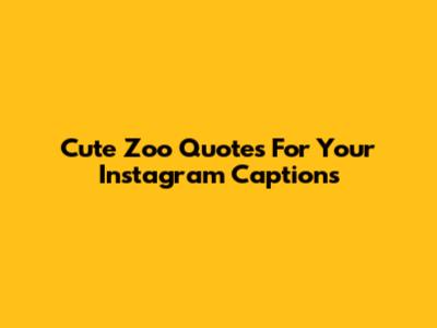 Cute Zoo Quotes For Your Instagram Captions