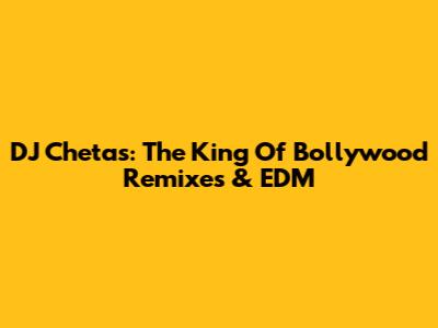 DJ Chetas: The King Of Bollywood Remixes & EDM