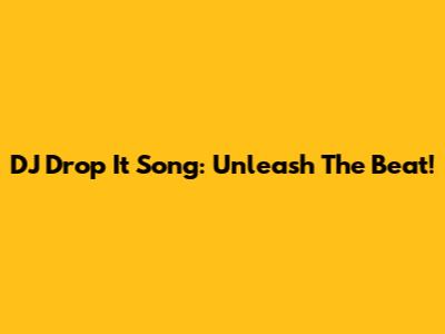 DJ Drop It Song: Unleash The Beat!