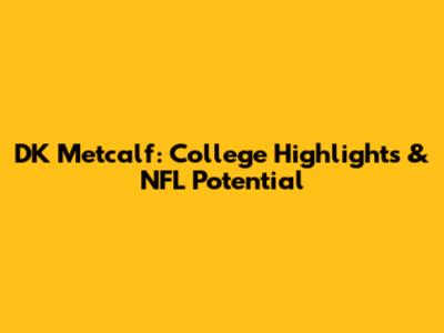DK Metcalf: College Highlights & NFL Potential