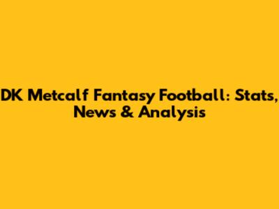 DK Metcalf Fantasy Football: Stats, News & Analysis