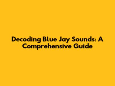 Decoding Blue Jay Sounds: A Comprehensive Guide
