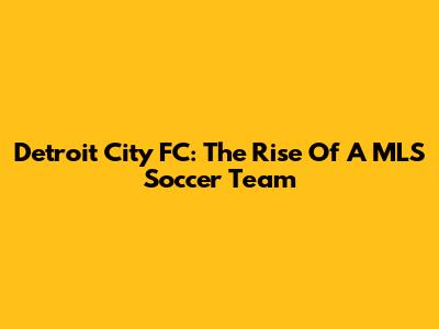 Detroit City FC: The Rise Of A MLS Soccer Team