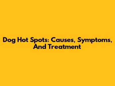 Dog Hot Spots: Causes, Symptoms, And Treatment