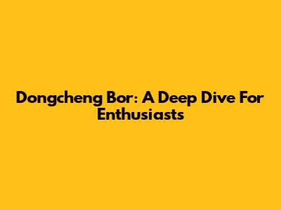 Dongcheng Bor: A Deep Dive For Enthusiasts