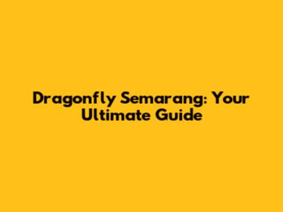 Dragonfly Semarang: Your Ultimate Guide