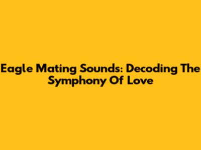 Eagle Mating Sounds: Decoding The Symphony Of Love