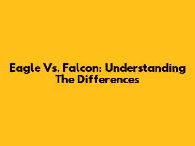 Eagle Vs. Falcon: Understanding The Differences