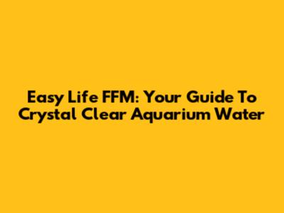 Easy Life FFM: Your Guide To Crystal Clear Aquarium Water