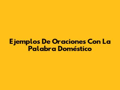 Ejemplos De Oraciones Con La Palabra Doméstico