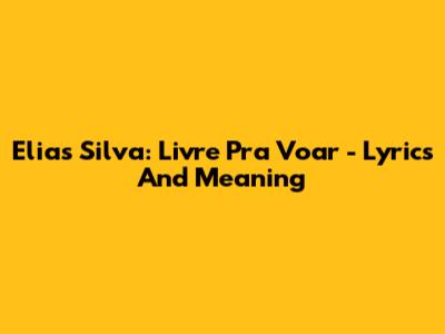 Elias Silva: Livre Pra Voar - Lyrics And Meaning