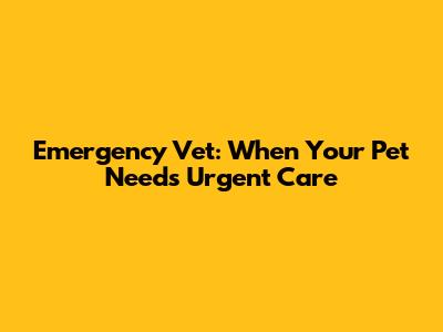 Emergency Vet: When Your Pet Needs Urgent Care