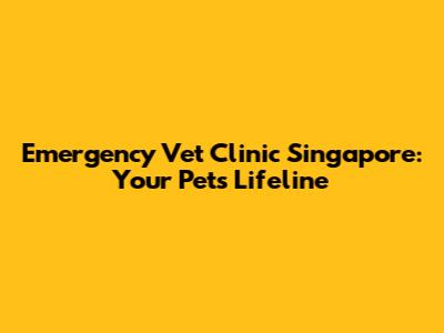 Emergency Vet Clinic Singapore: Your Pet's Lifeline