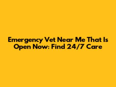 Emergency Vet Near Me That Is Open Now: Find 24/7 Care