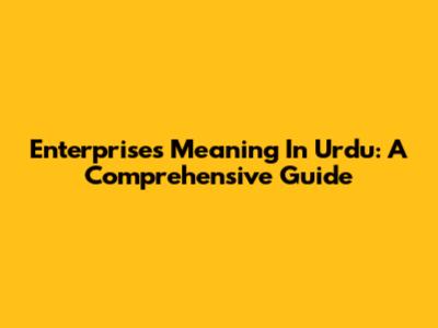 Enterprises Meaning In Urdu: A Comprehensive Guide