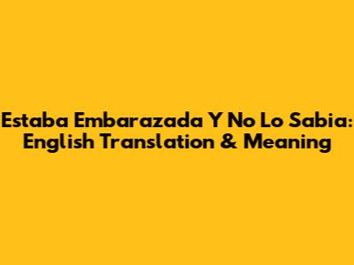 Estaba Embarazada Y No Lo Sabia: English Translation & Meaning