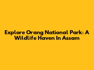 Explore Orang National Park: A Wildlife Haven In Assam