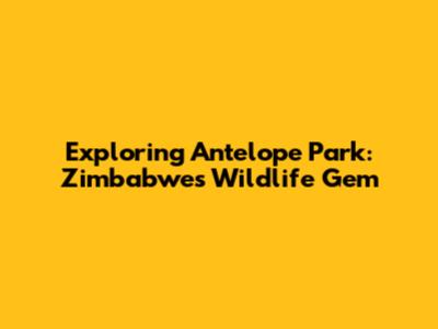 Exploring Antelope Park: Zimbabwe's Wildlife Gem