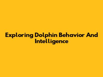 Exploring Dolphin Behavior And Intelligence