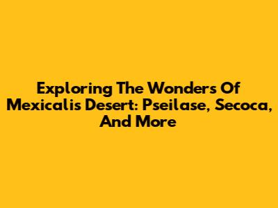 Exploring The Wonders Of Mexicali's Desert: Pseilase, Secoca, And More